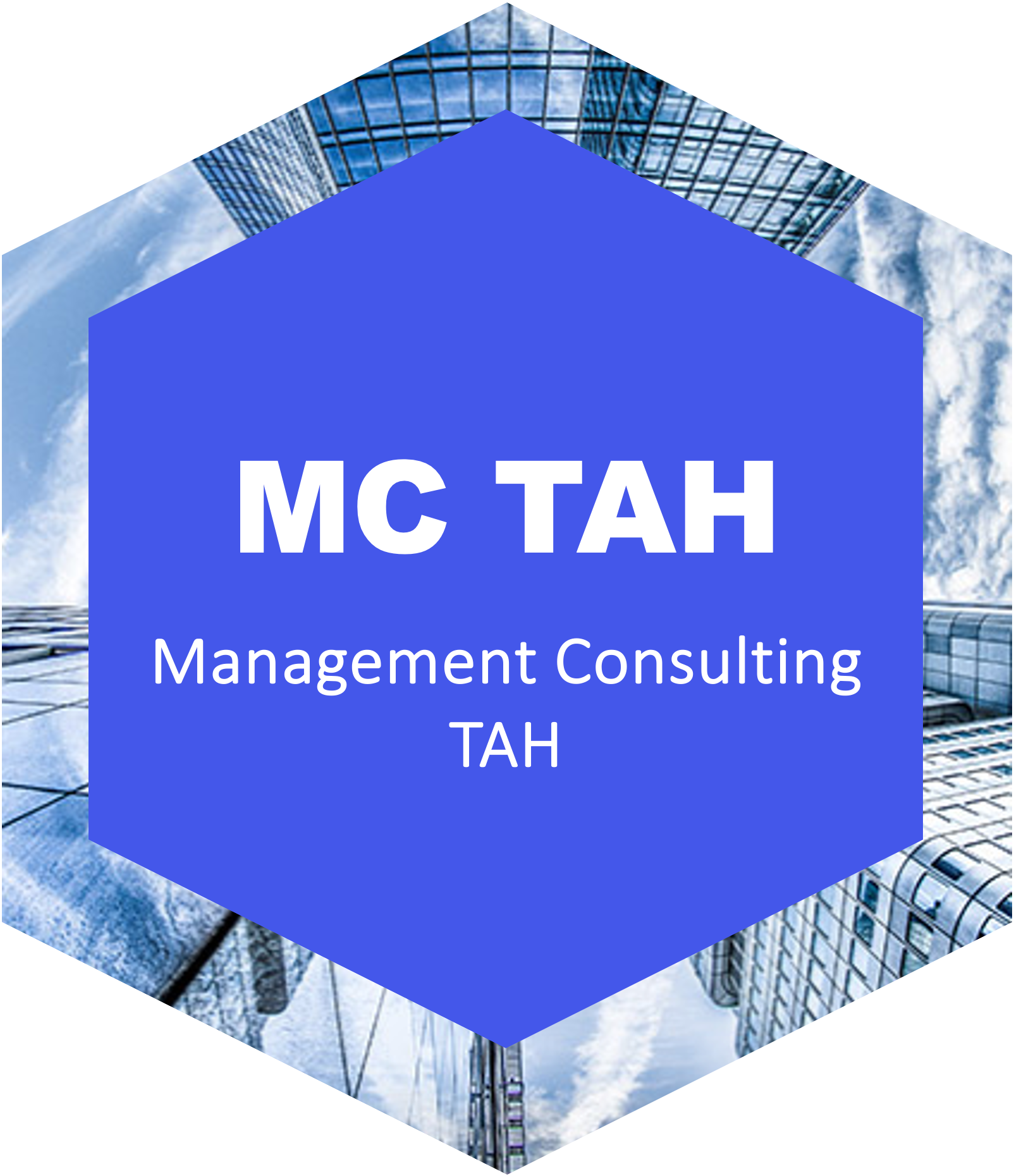 Management Consulting TAH